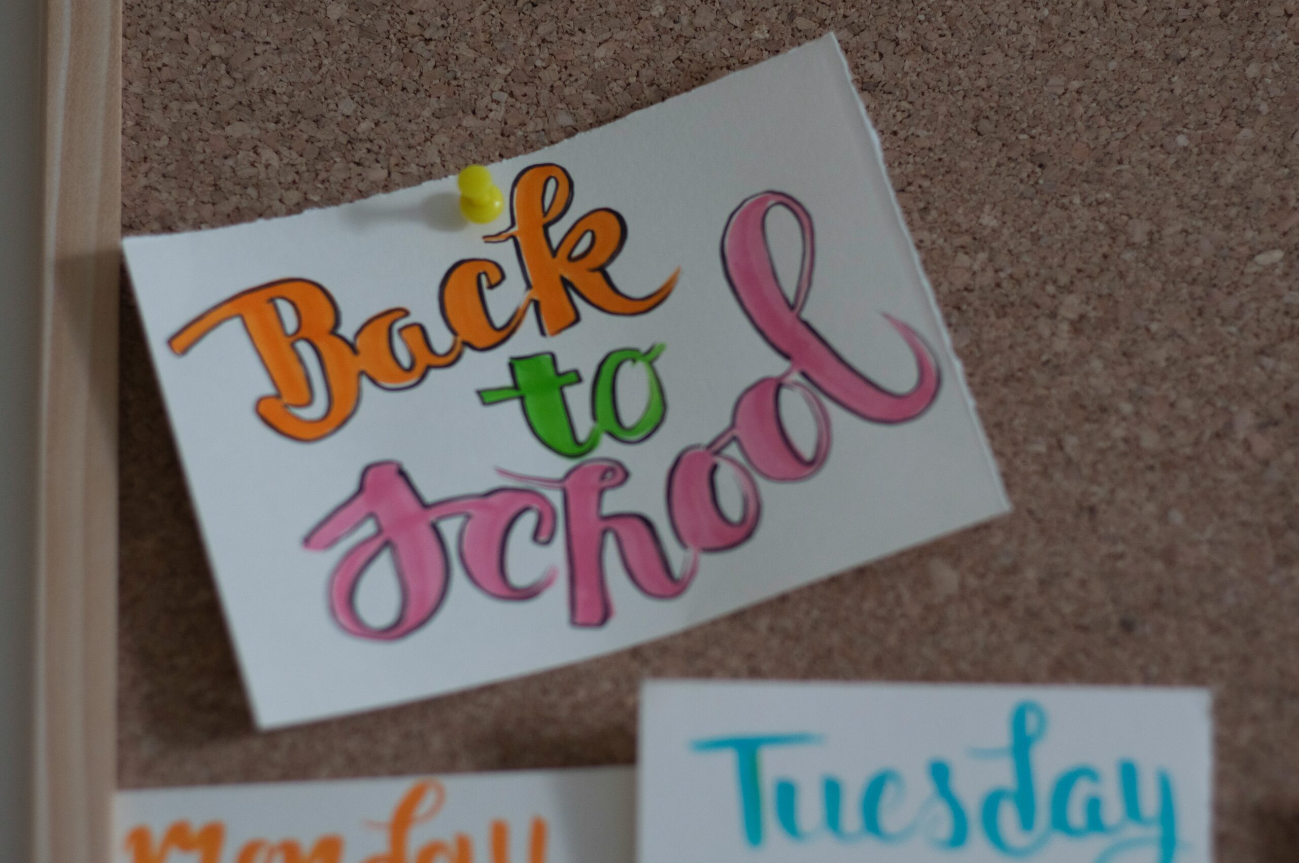 We Survived the First Three Days: A Back-to-School Reality Check for Parents with Multiple Kids